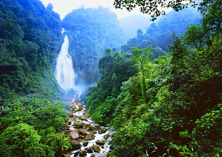 哀牢山十里河.jpg 哀牢山十里河.jpg