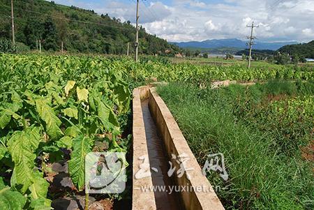 協調資金修建的桐關村茨通鋪小組灌溉東大溝工程