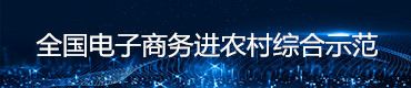 全國電子商務進農村綜合示范