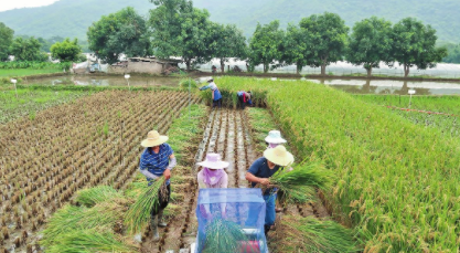 QQ圖片20220628082529.png QQ圖片20220628082529.png