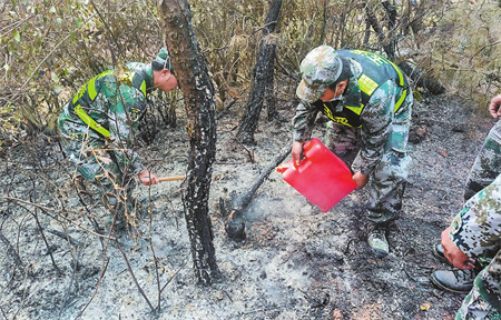 33 (1).jpg 33 (1).jpg