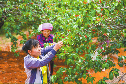 QQ圖片20240411083743.png QQ圖片20240411083743.png