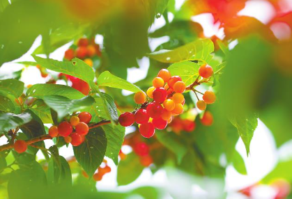 QQ圖片20240411083756.png QQ圖片20240411083756.png