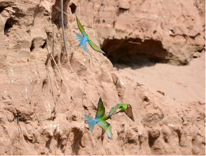 QQ圖片20240506085812.png QQ圖片20240506085812.png