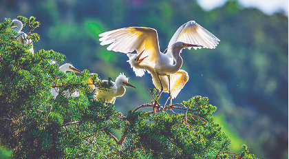 QQ圖片20240513083718.png QQ圖片20240513083718.png