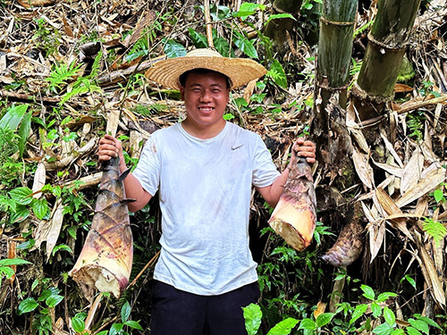 竹筍豐收銷路不愁.jpg 竹筍豐收銷路不愁.jpg