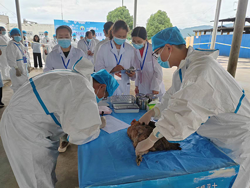 動物防疫檢疫職業技能競賽舉辦.jpg 動物防疫檢疫職業技能競賽舉辦.jpg