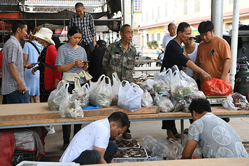 菌子熱賣農戶增收.jpg 菌子熱賣農戶增收.jpg