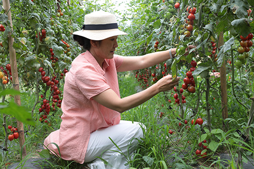 農文旅融合賦能飛大田鄉村振興.jpg 農文旅融合賦能飛大田鄉村振興.jpg