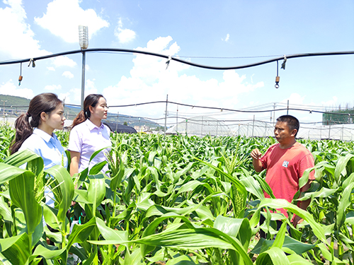 農行玉溪分行以高質量金融服務賦能鄉村振興.jpg 農行玉溪分行以高質量金融服務賦能鄉村振興.jpg