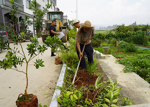 增植添綠建美家園.jpg 增植添綠建美家園.jpg