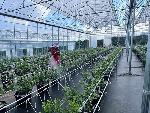 莓好生活漿果山地綜合體建設(shè)項目完工.jpg 莓好生活漿果山地綜合體建設(shè)項目完工.jpg