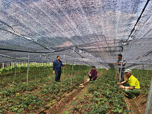 雙江街道打造經(jīng)濟發(fā)展“強引擎”.jpg 雙江街道打造經(jīng)濟發(fā)展“強引擎”.jpg