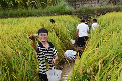 秋游綠汁,驚喜遠不止稻田摸魚峽谷騎行4.jpg 秋游綠汁,驚喜遠不止稻田摸魚峽谷騎行4.jpg