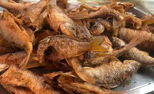 秋游綠汁,驚喜遠不止稻田摸魚峽谷騎行5.jpg 秋游綠汁,驚喜遠不止稻田摸魚峽谷騎行5.jpg