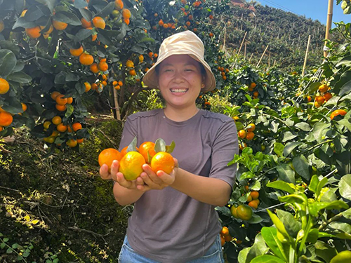 華寧：“金秋” 喜迎豐收！.jpg