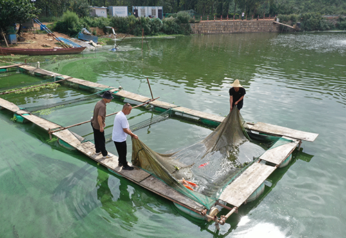 訪觀賞魚養殖戶李發云.jpg 訪觀賞魚養殖戶李發云.jpg