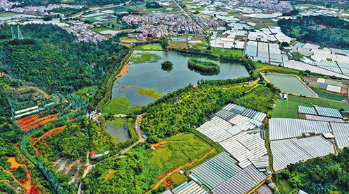 研和街道南湖公園成新晉打卡點.jpg 研和街道南湖公園成新晉打卡點.jpg