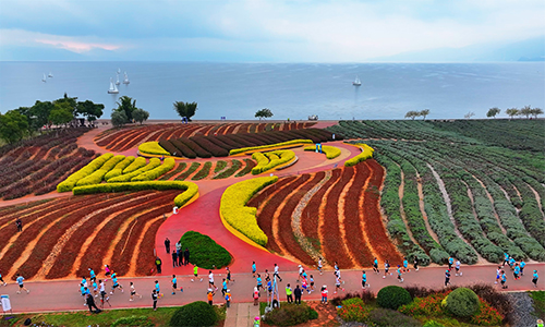 萬名跑者沉浸式感受“最美賽道”.jpg 萬名跑者沉浸式感受“最美賽道”.jpg