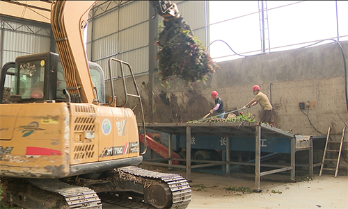 趙桅社區回收秸稈“變廢為寶”.jpg 趙桅社區回收秸稈“變廢為寶”.jpg