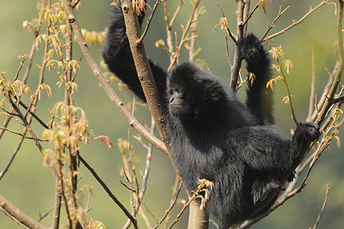 如何接住哀牢山爆火的流量.jpg 如何接住哀牢山爆火的流量.jpg