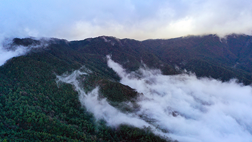 如何接住哀牢山爆火的流量4.jpg 如何接住哀牢山爆火的流量4.jpg