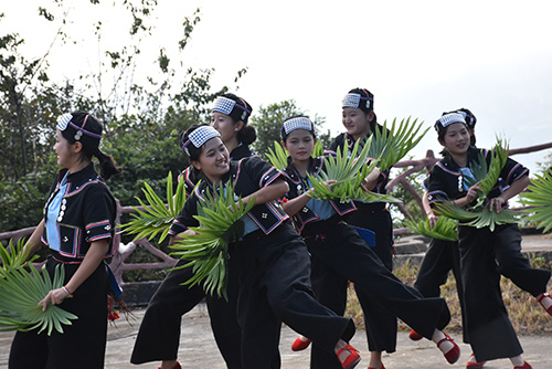 感受魅力棕扇舞歡度哈尼“十月年”.jpg 感受魅力棕扇舞歡度哈尼“十月年”.jpg