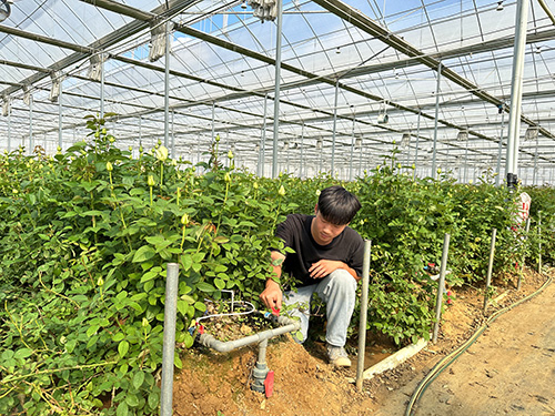 紅塔區走上農業增產快車道1.jpg 紅塔區走上農業增產快車道1.jpg