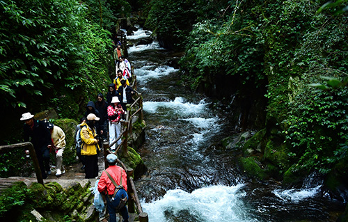 哀牢山風(fēng)景區(qū)受游客青睞.jpg 哀牢山風(fēng)景區(qū)受游客青睞.jpg
