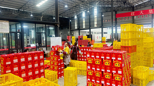 25噸冰糖橙通過本地企業(yè)銷往加拿大.jpg 25噸冰糖橙通過本地企業(yè)銷往加拿大.jpg