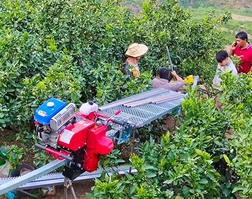 華寧奏出富民增收致富曲.jpg 華寧奏出富民增收致富曲.jpg