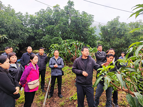 鄉村“雙帶”青年經驗交流觀摩活動舉辦.jpg 鄉村“雙帶”青年經驗交流觀摩活動舉辦.jpg