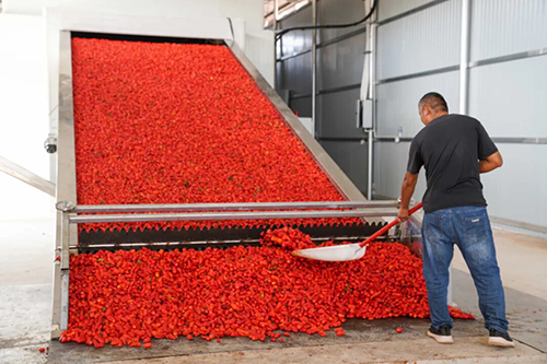 澄江奏響鄉村振興 “奮進曲”.jpg 澄江奏響鄉村振興 “奮進曲”.jpg