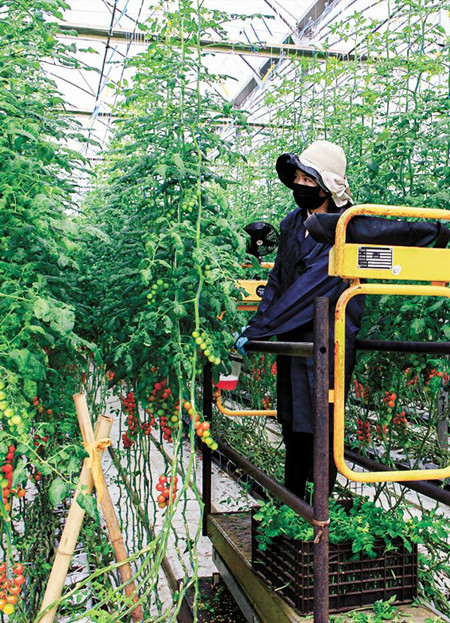 a21_副本.jpg a21_副本.jpg