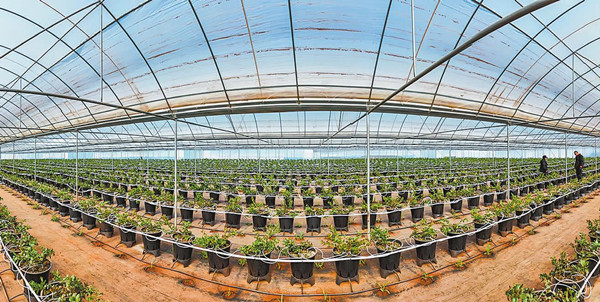 8_副本.jpg 8_副本.jpg