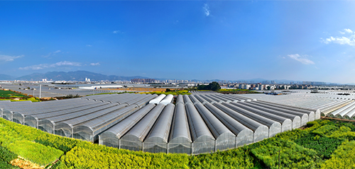 玉溪大力發展設施農業.jpg 玉溪大力發展設施農業.jpg