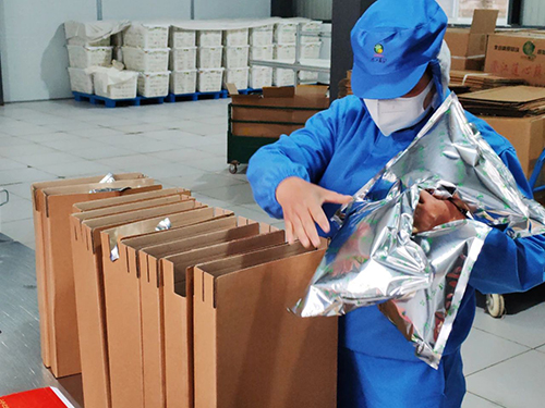 澄江.jpg 澄江.jpg