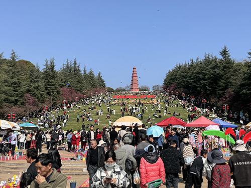 春節期間全區接待游客87.49萬人次.jpg 春節期間全區接待游客87.49萬人次.jpg