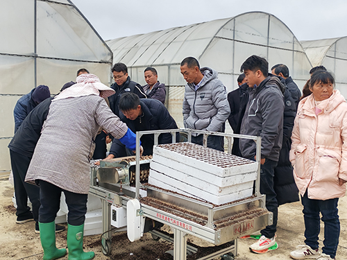 煙葉育苗技術(shù)培訓開展.jpg 煙葉育苗技術(shù)培訓開展.jpg