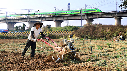 在希望的田野上奏響春耕樂章.jpg 在希望的田野上奏響春耕樂章.jpg
