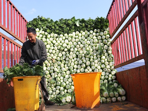 500L_1740467057373367744.jpg 500L_1740467057373367744.jpg