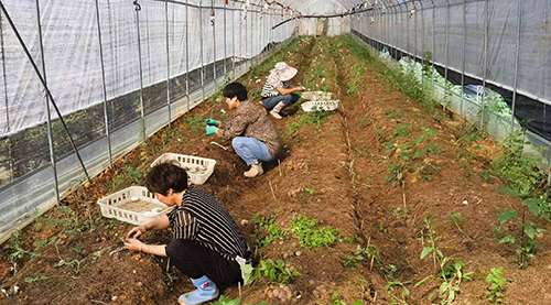 華寧城關社區探索基層治理新路徑.jpg 華寧城關社區探索基層治理新路徑.jpg