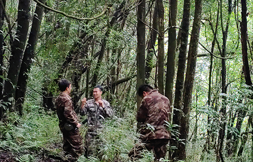 “以綠為墨”繪就綠水青山新圖景.jpg “以綠為墨”繪就綠水青山新圖景.jpg