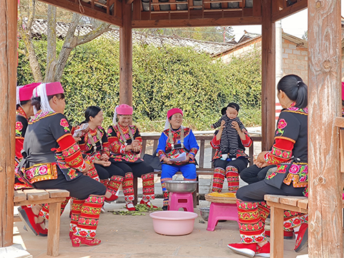 兩會聲音傳彝鄉 共話鄉村振興路.jpg 兩會聲音傳彝鄉 共話鄉村振興路.jpg