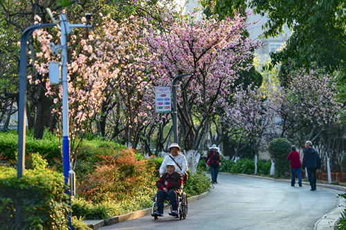 春和景明踏青賞花1.jpg 春和景明踏青賞花1.jpg