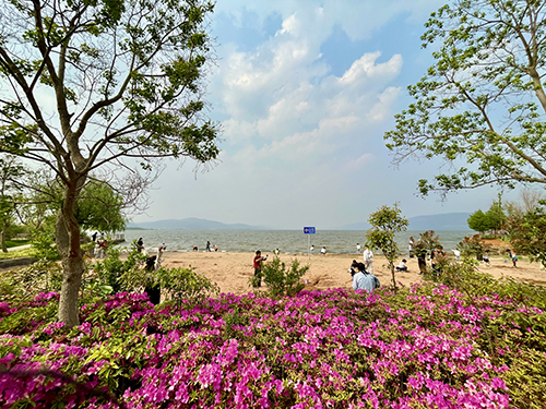 悠游玉溪 踏春尋芳.jpg 悠游玉溪 踏春尋芳.jpg
