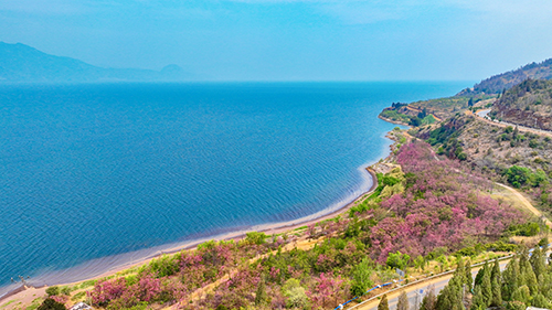撫仙湖畔春光美.jpg 撫仙湖畔春光美.jpg