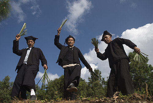 棕扇舞聯合申報世界遺產優勢明顯.jpg 棕扇舞聯合申報世界遺產優勢明顯.jpg