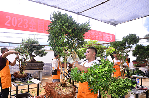 玉溪市不斷提升人才適應發展服務發展質效3.jpg 玉溪市不斷提升人才適應發展服務發展質效3.jpg