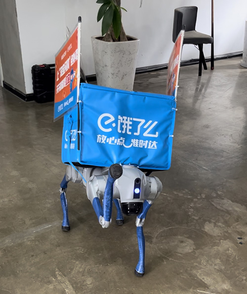 玉溪機器狗“外賣員”上崗.jpg 玉溪機器狗“外賣員”上崗.jpg